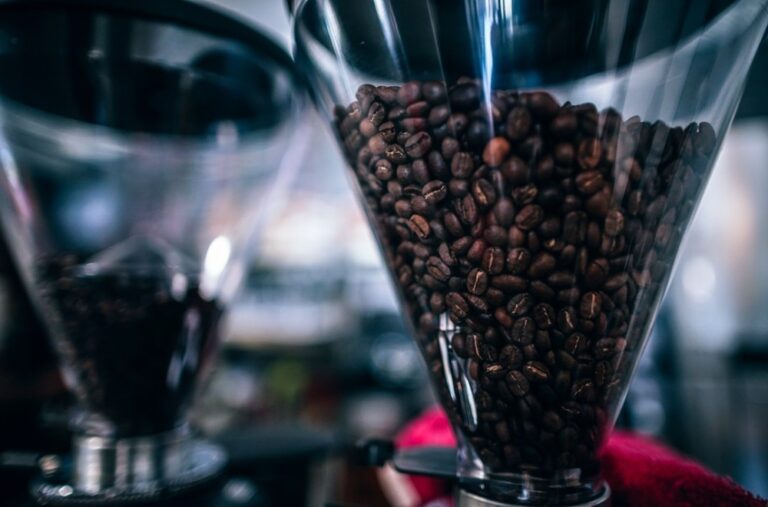 5 Essential Steps to Launching Your Business Successfully